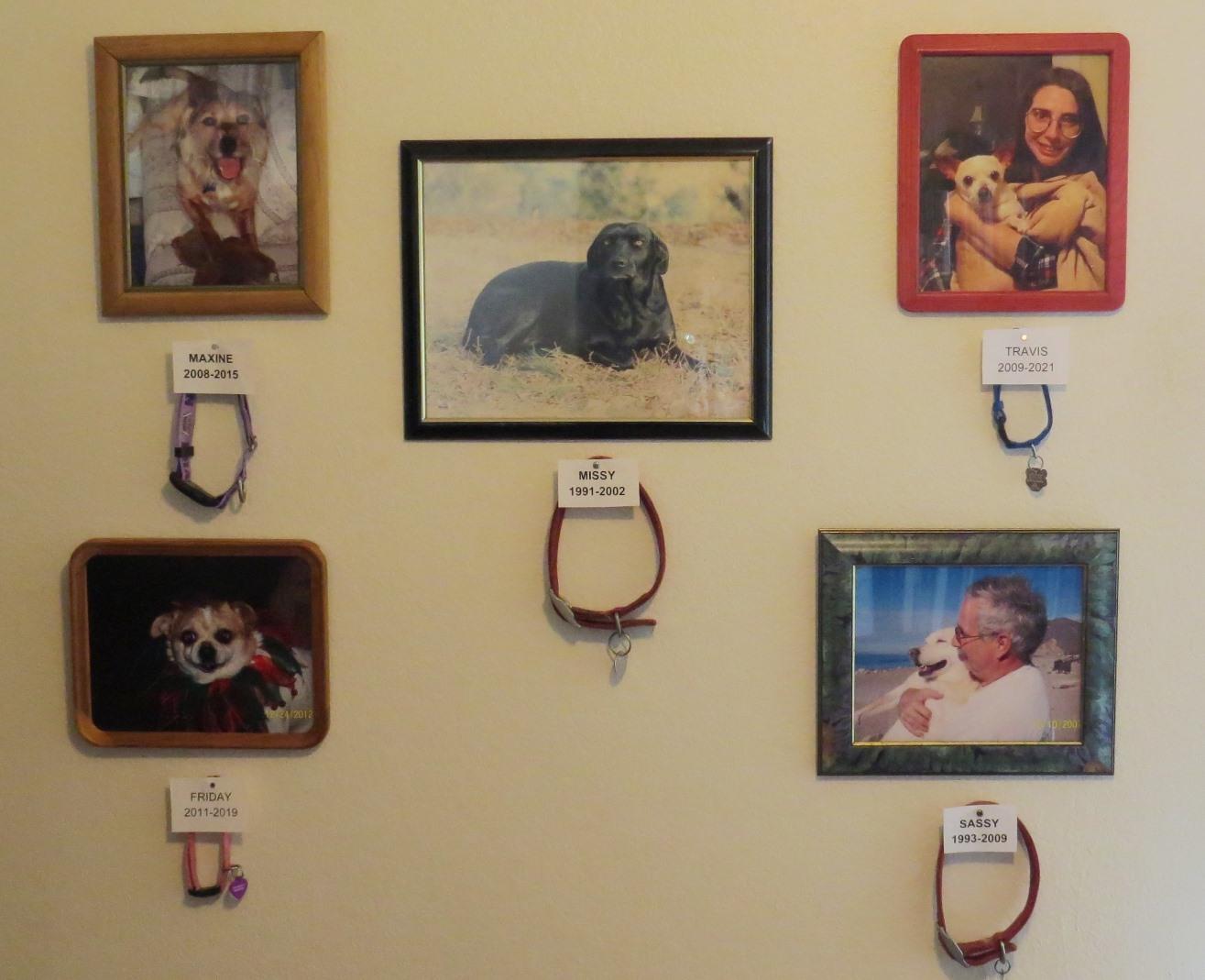 Pet Memorial