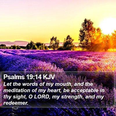 Psalms-19-14-KJV-Let-the-words-of-my-mouth-and-the-meditation-of-I19019014-L01-TH