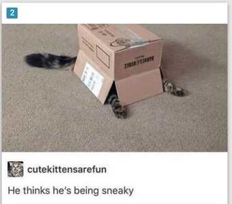 sneaky
